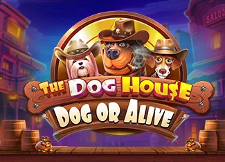 The Dog House Megaways Android ve iOS Rehberi 2026
